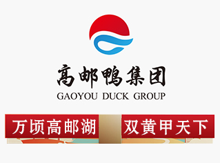 揚(yáng)州-高郵雙黃鴨蛋戰(zhàn)略定位與策劃